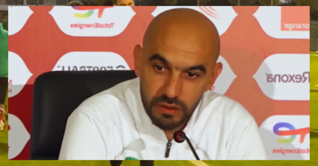 بادو الزاكي